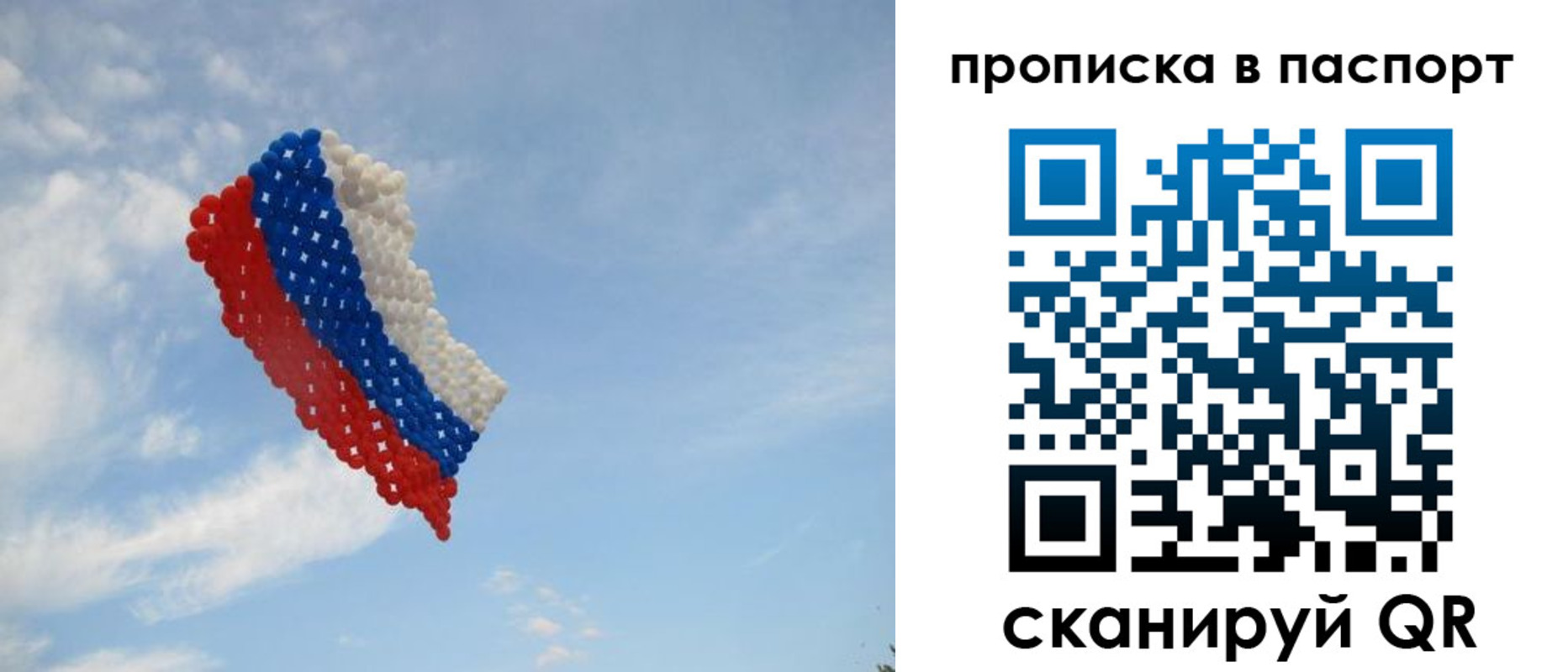 найти адрес прописки в Новодвинске
